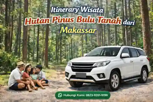 itinerary wisata hutan pinus bulu tanah