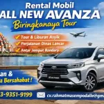 rental mobil all new avanza
